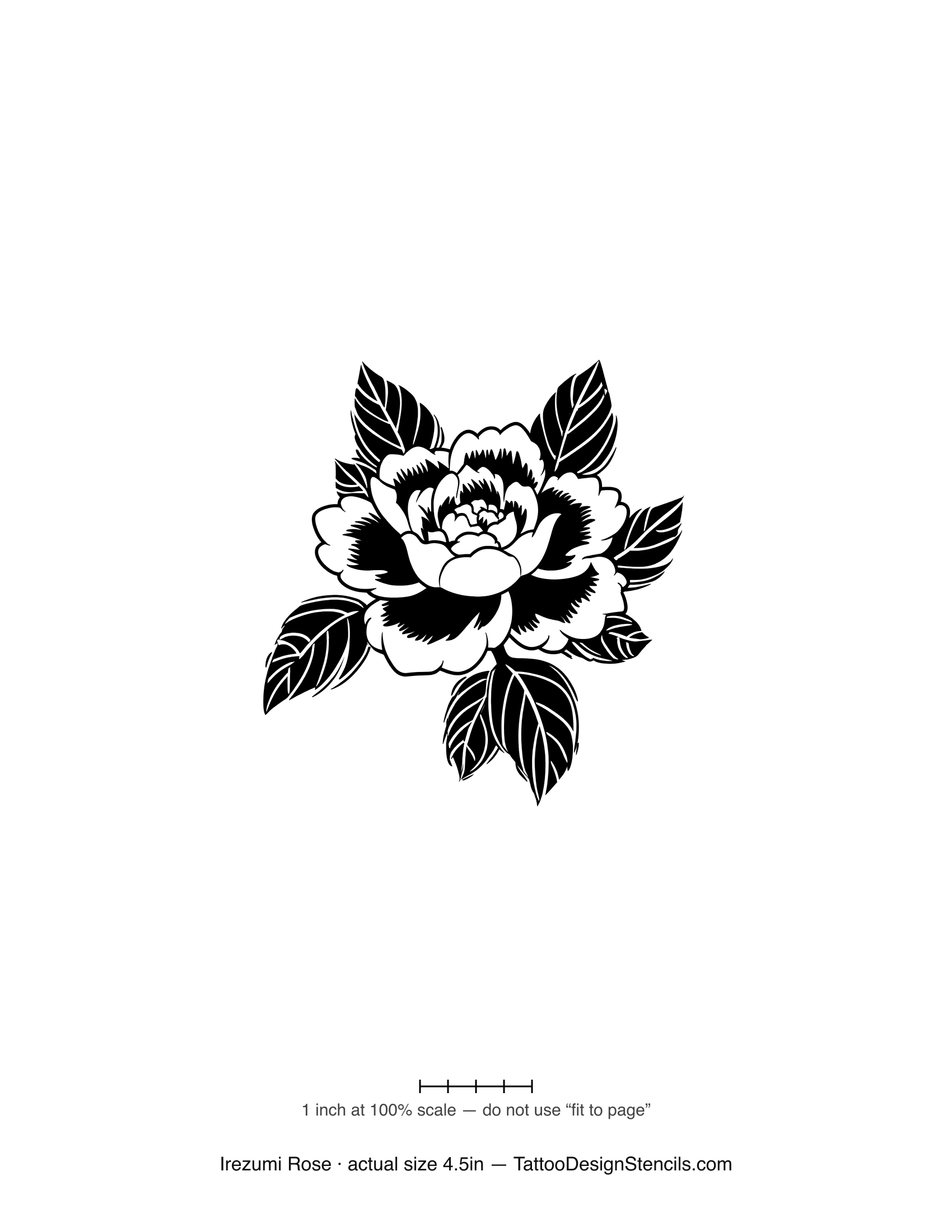 Japanese irezumi style rose tattoo stencil — peony-like bloom with flowing leaves